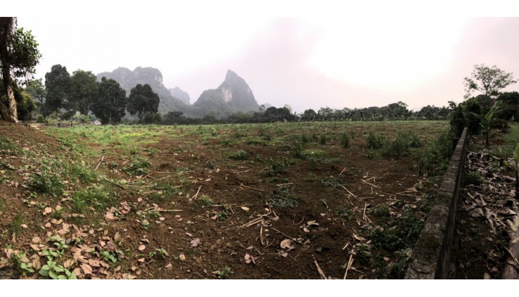 Chủ cần bán mảnh đất trong Khu phân lô dt 3708m2 200m thổ MT khoảng 100m đường to Liên Sơn Lương Sơn Hòa Bình